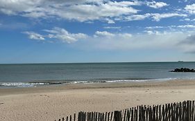 10 Metres De La Plage Avec Piscine Et Jardin